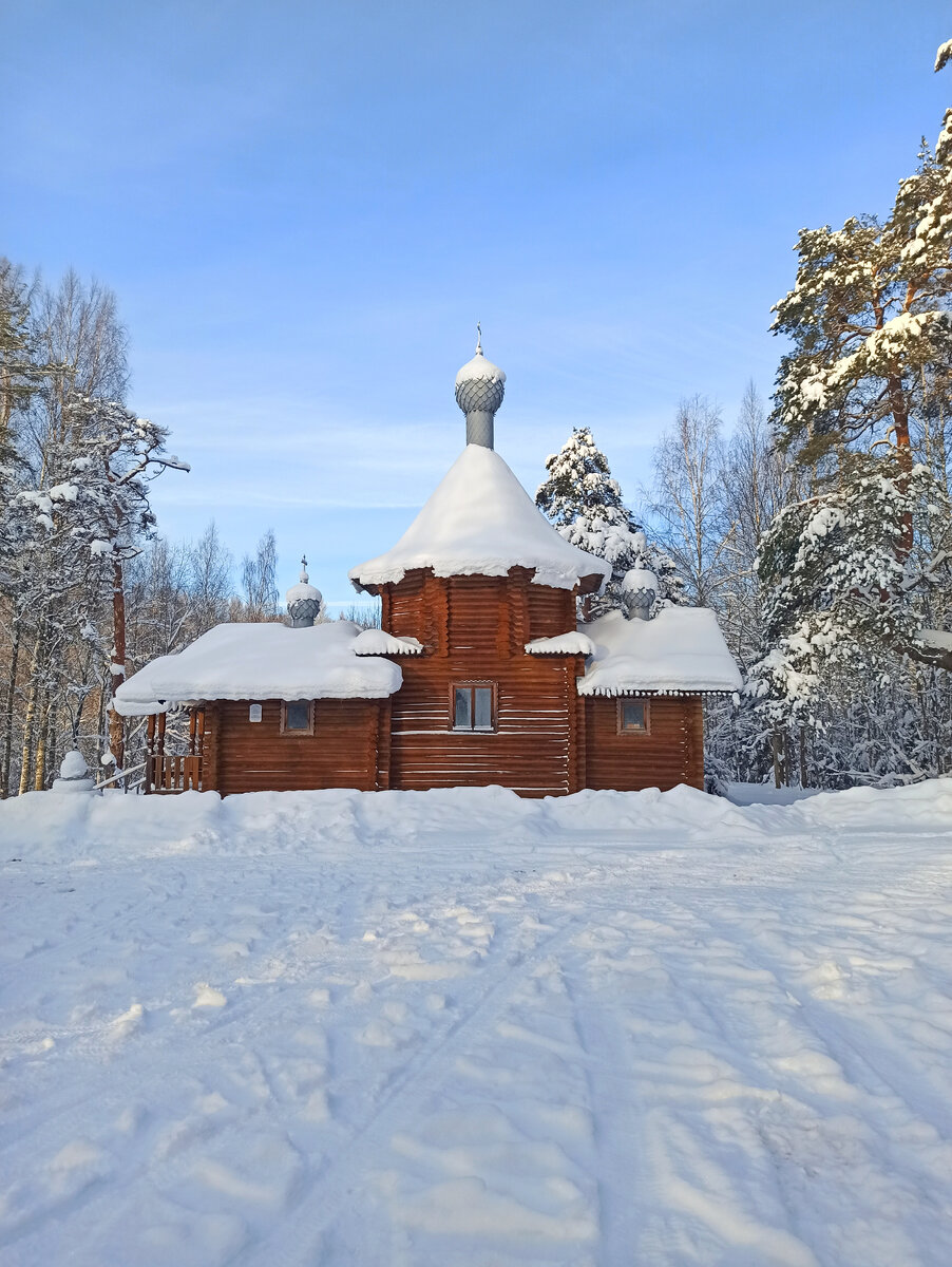 Автор фото: Надежда Савинова