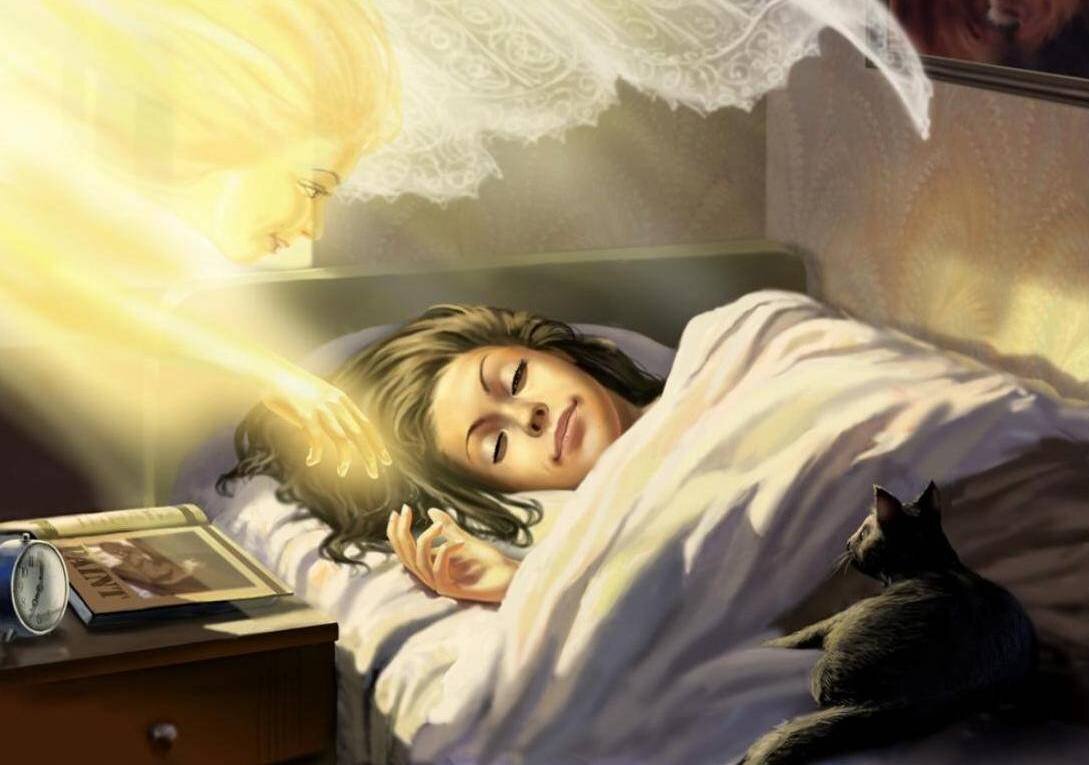 Из открытых источников Яндекса.