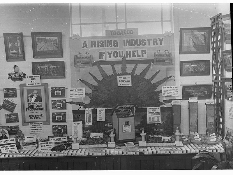 1926