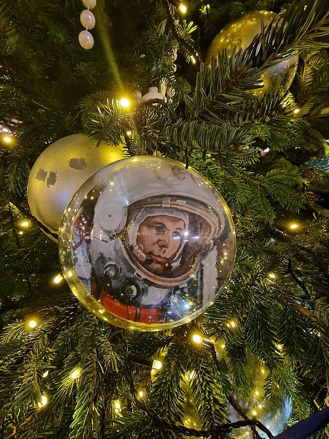 А.Моргуновская, CC BY-SA 4.0, via Wikimedia Commons