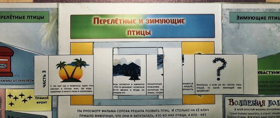 Мини-фильм про птиц (листайте вправо)