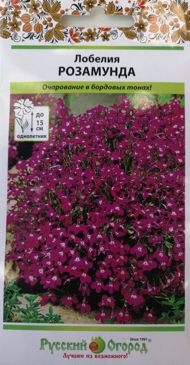 Лобелия Розамунда, Фото: личный архив