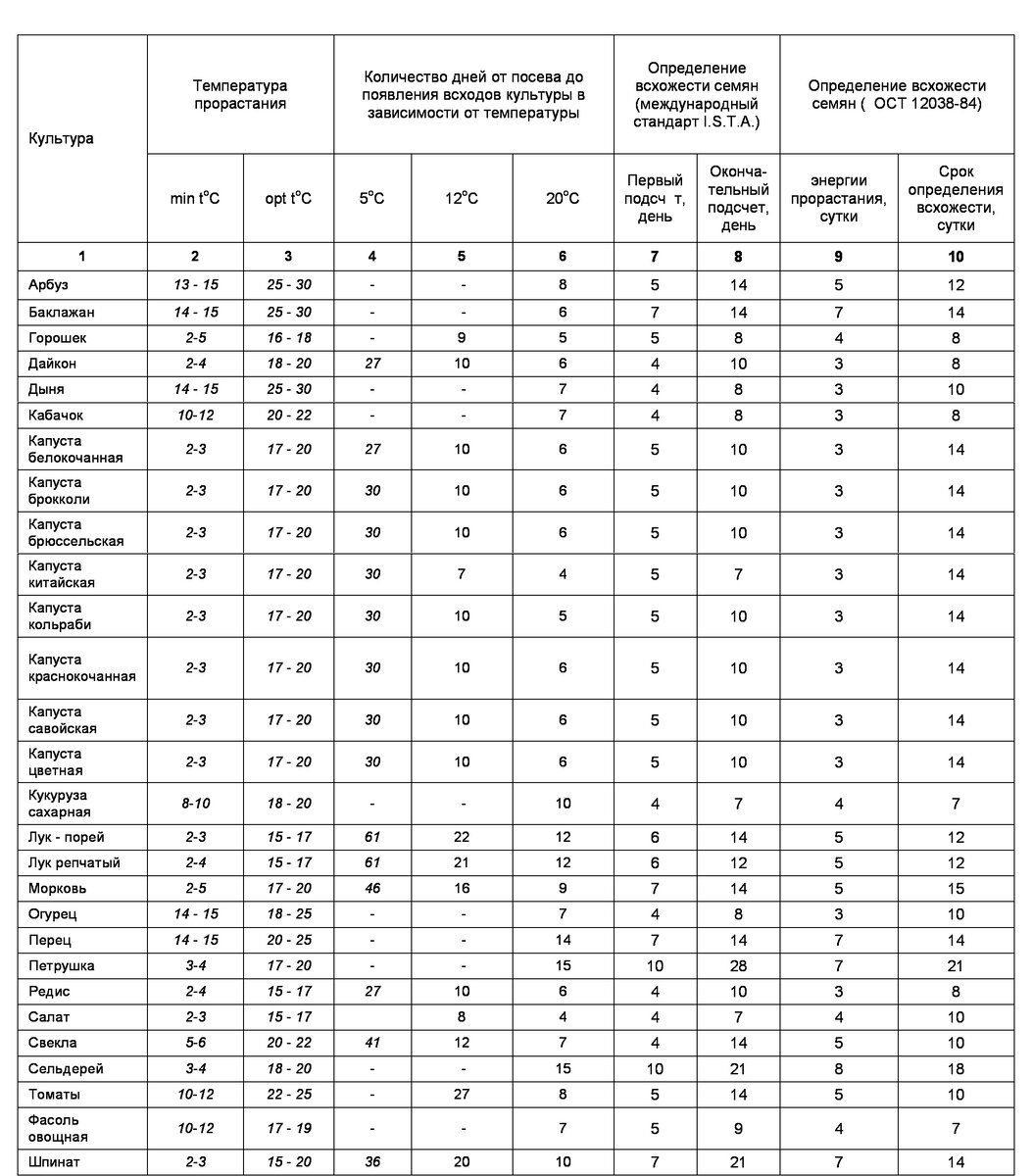 Температура для прорастания семян салата