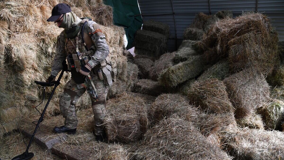    Боец российского спецназа обследует территорию в Купянском районе Харьковской области, где был обнаружен схрон с оружием© РИА Новости / Виктор Антонюк