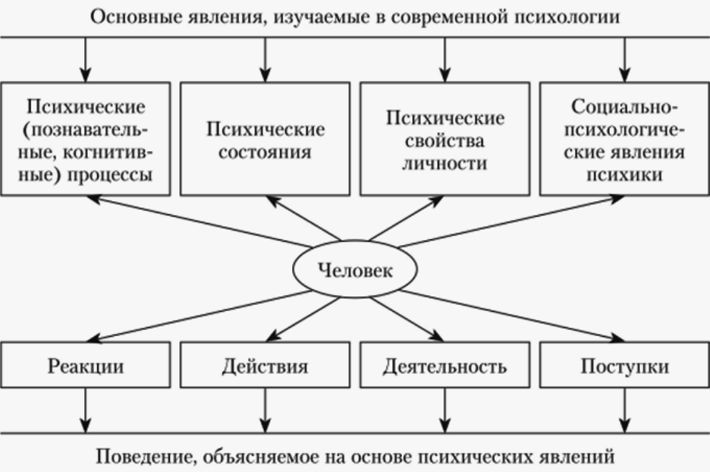 Классификация психических явлений схема