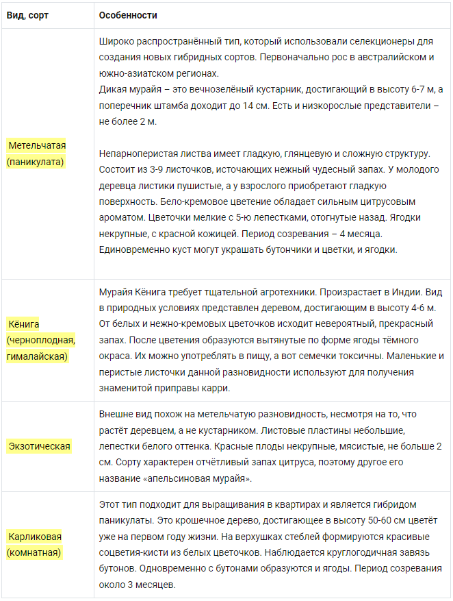 Купить комнатные растения цветущие и лиственные с доставкой по Киеву.