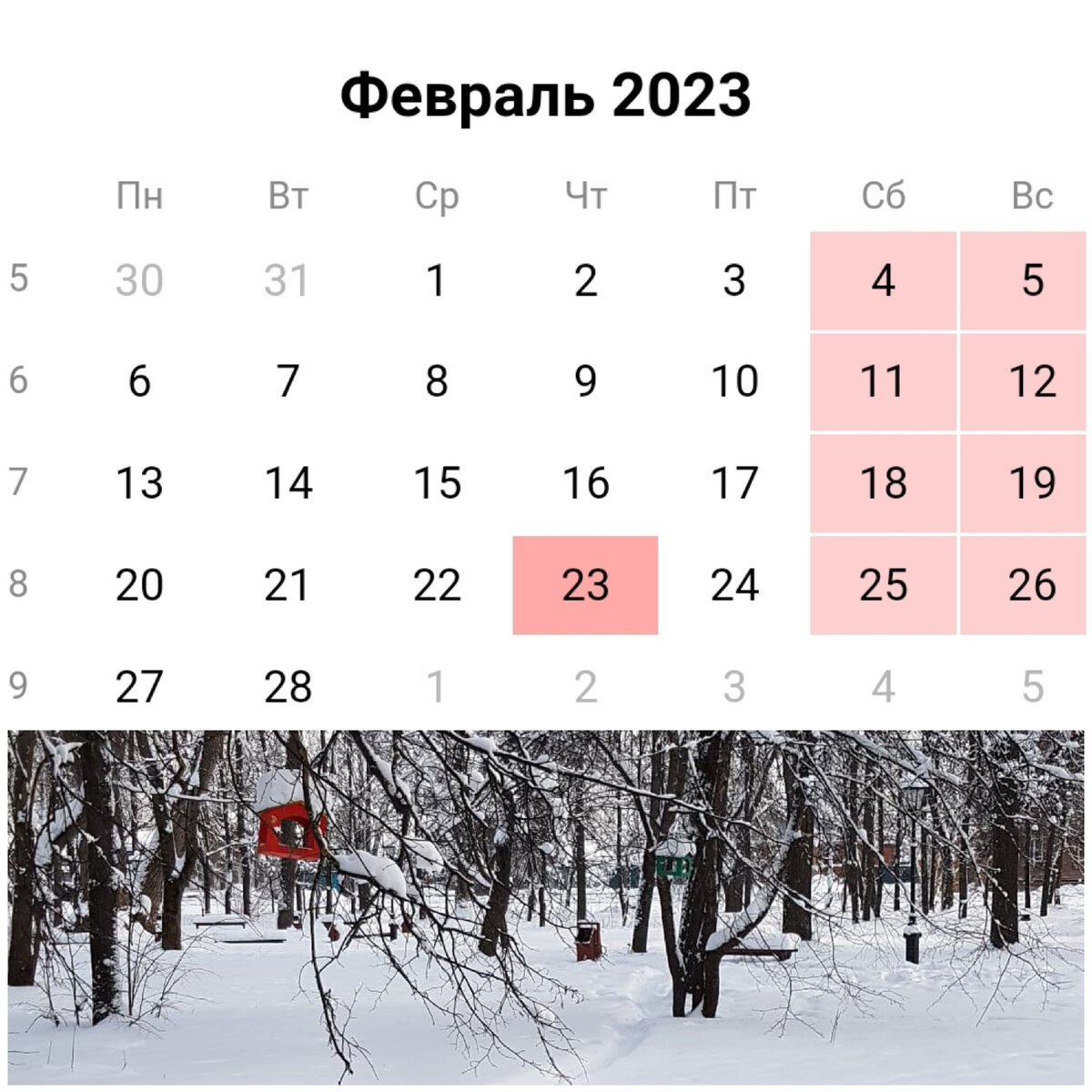 Коллаж автора