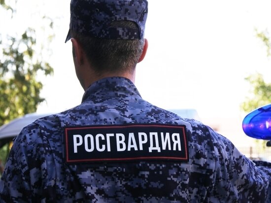     Фото из открытых источников