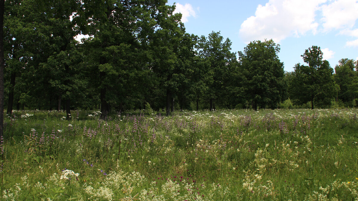 Фото 09.07.22 Немного пасмурно