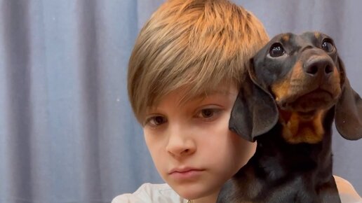 Такса блоггер симба. Такса блоггер симба. Такса блоггер симба. Такса блоггер симба. Такса блоггер симба.