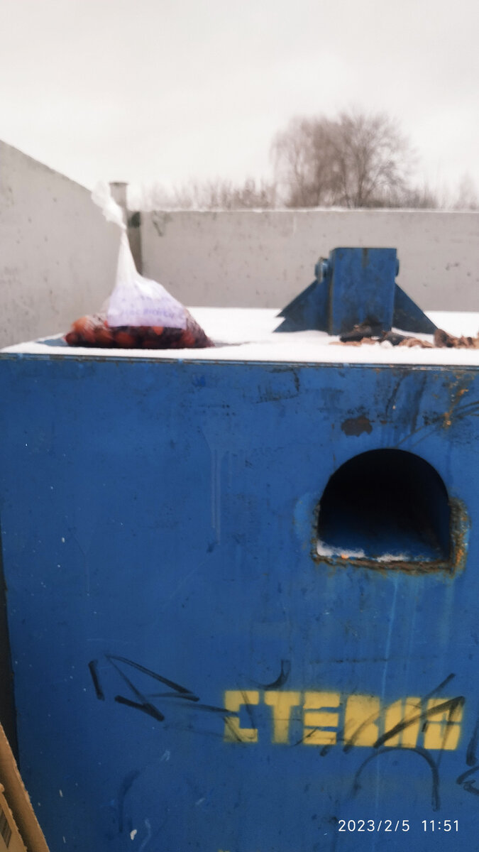 Фото автора