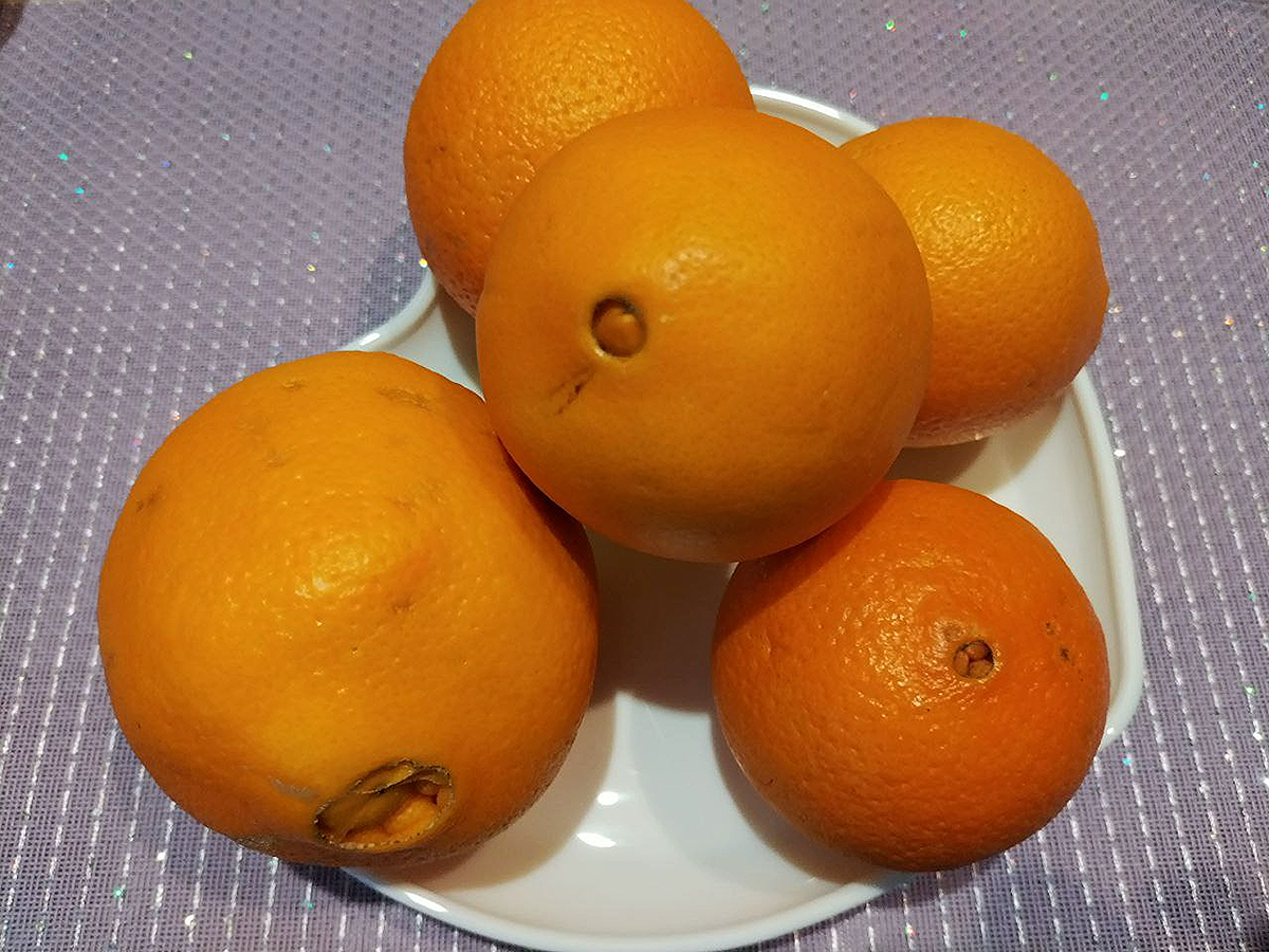 Порно видео апельсин в попке у девушки. скачать бесплатно, смотреть онлайн