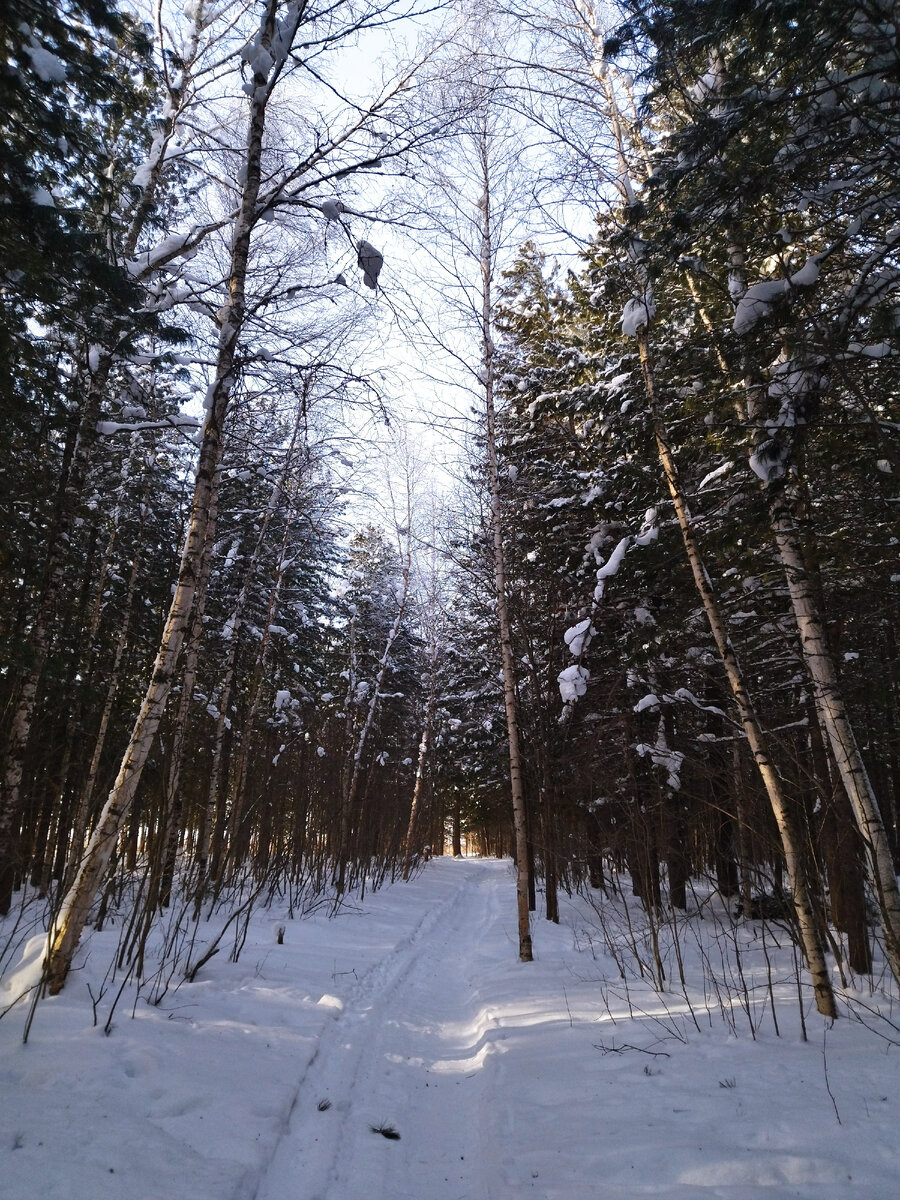 Городской парк с кадрами.