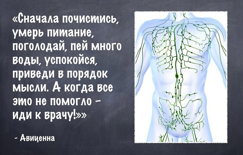 Паника половина здоровья. Высказывания о медицине. Высказывания о врачах и медицине. Афоризмы про медицину. Цитаты про врачей и медицину.