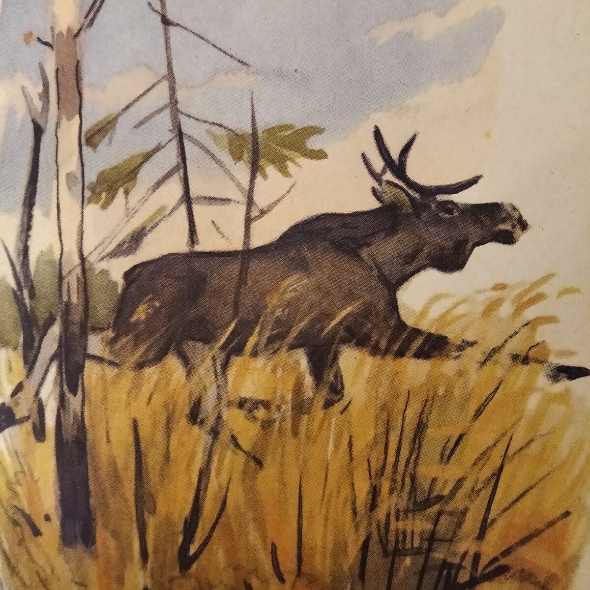 Фото автора статьи