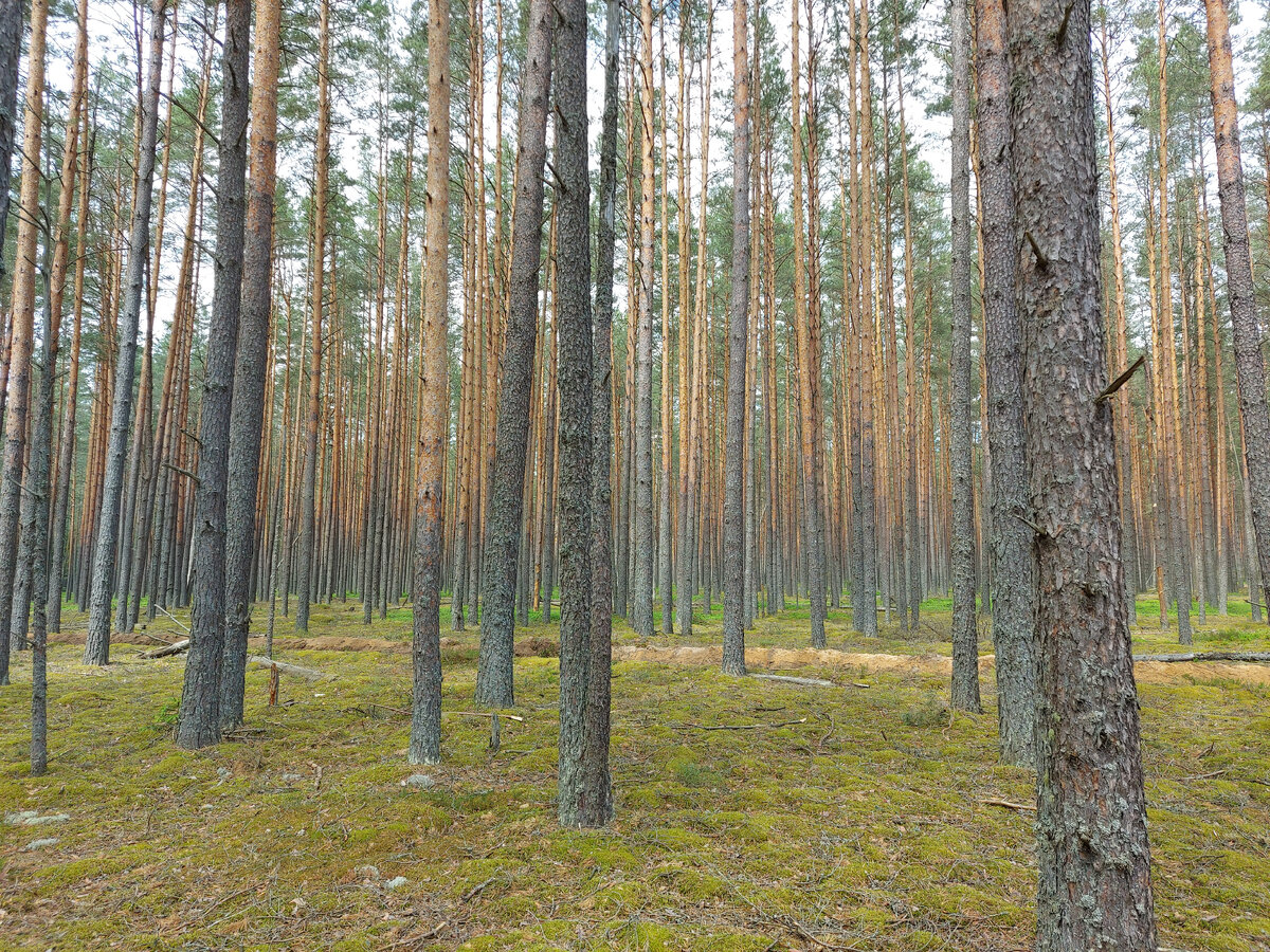 Фото автора рассказа 