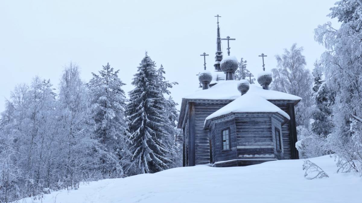    Фото: SHUTTERSTOCK / FOTODOM