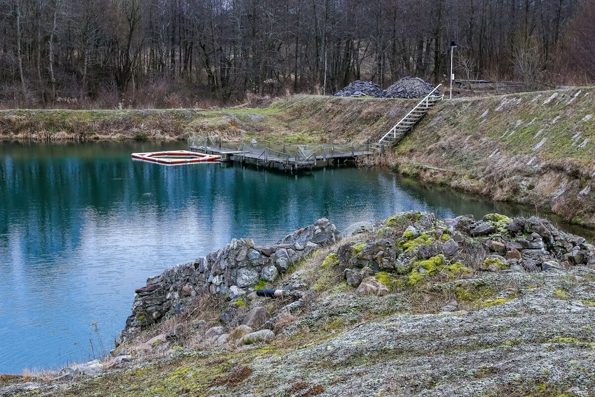 На территории КФХ расположено десять прудов для разведения рыбы