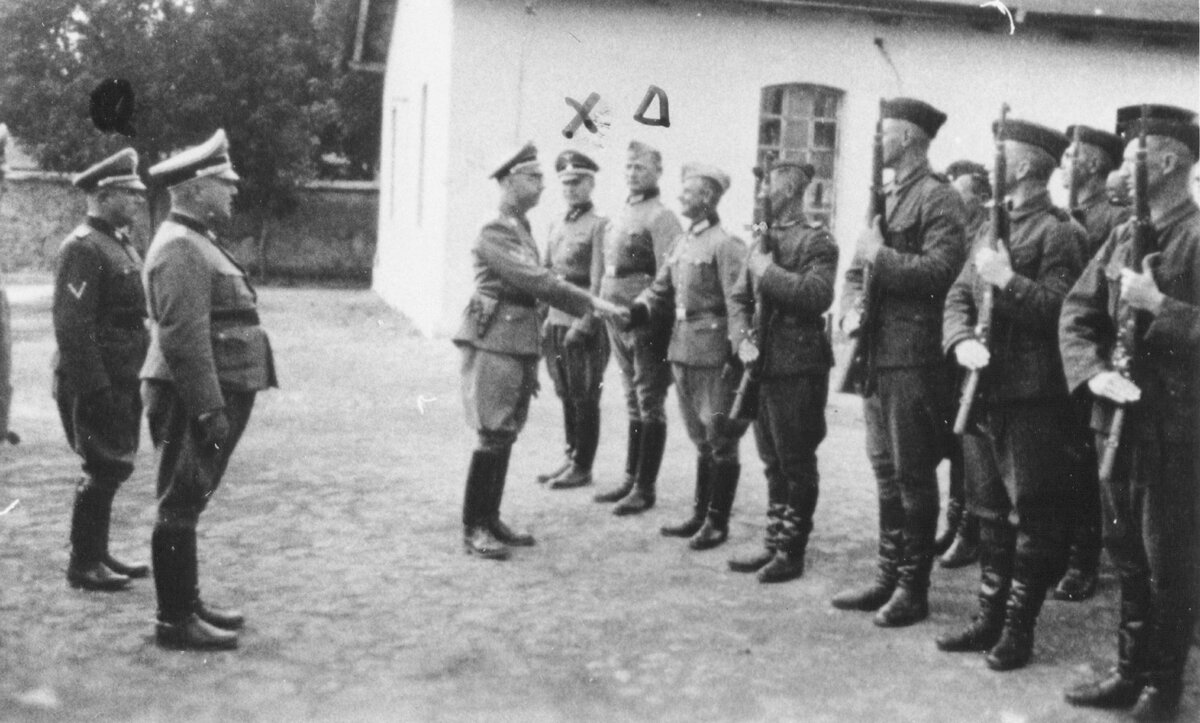 Энциклопедия сибири. Растения для травника. Фитошкола "дивея", травничество. Растения для записи в травник. Школа травника.