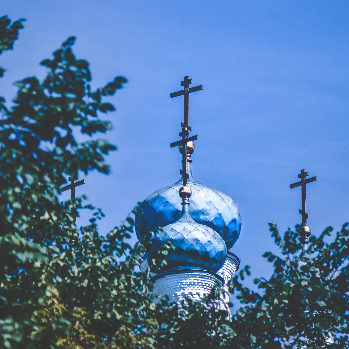 📍 Вот такая красота выглядывает из-за растительности 😍 В окружении зеленых листьев куполочки смотрятся замечательно!