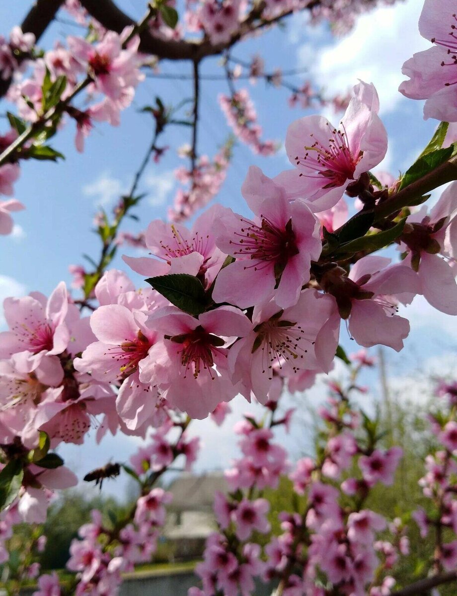 Фото взято из интернета 