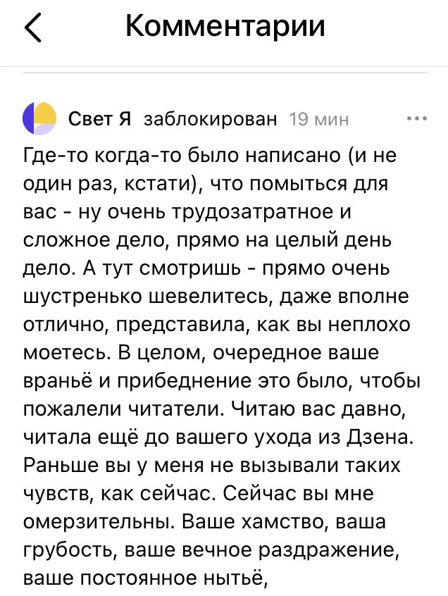 Скрин удаленного свежего комментария забаненного хейтера