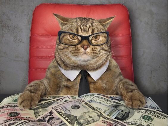 Фото с сайта Pinterest.com