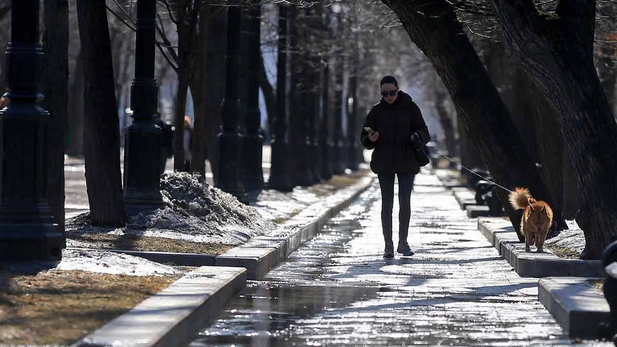    Фото: Сергей Ведяшкин / АГН Москва