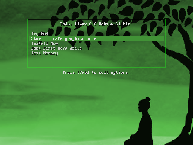 Установка Bodhi Linux на компьютер