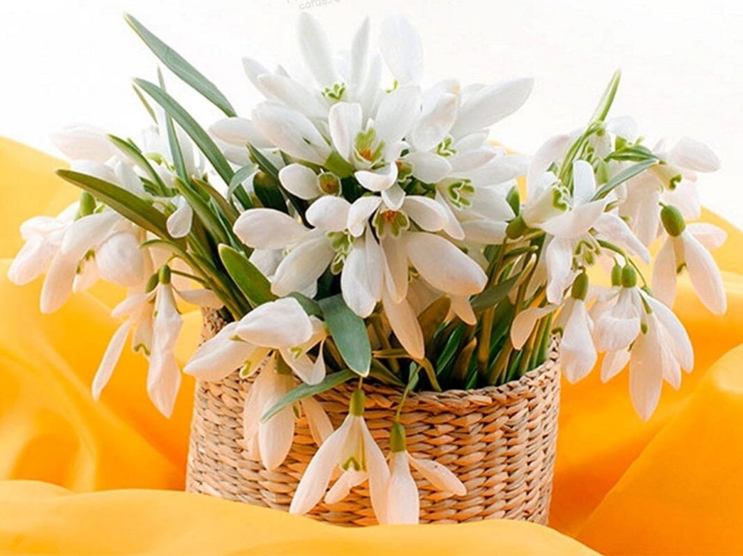 Фото из свободного доступа