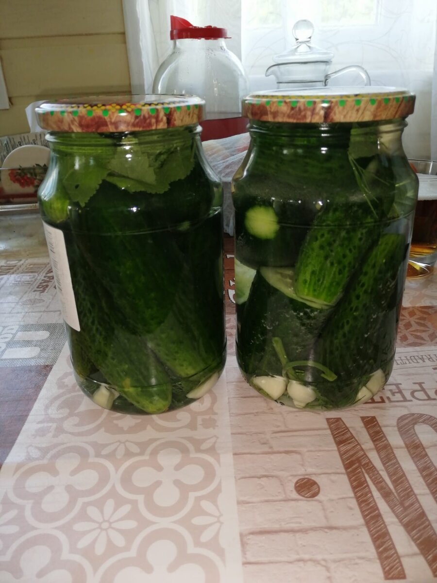 Закрыли первые в своей жизни огурчики