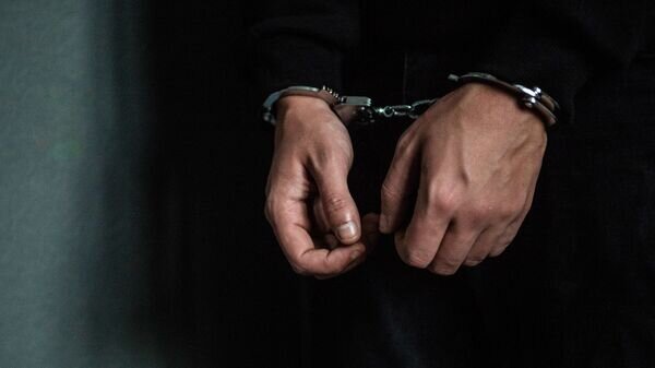    © photo: Sputnik / Stringer