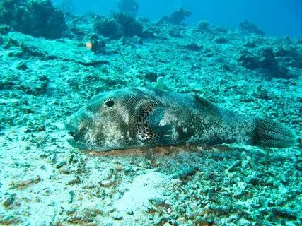 Фото с сайта: https://avatars.mds.yandex.net