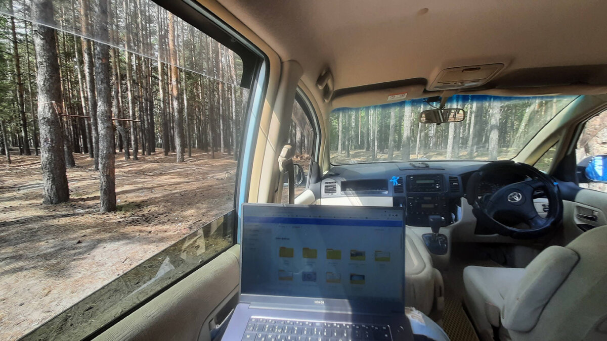 Сидела в лесу и писала бизнес-план