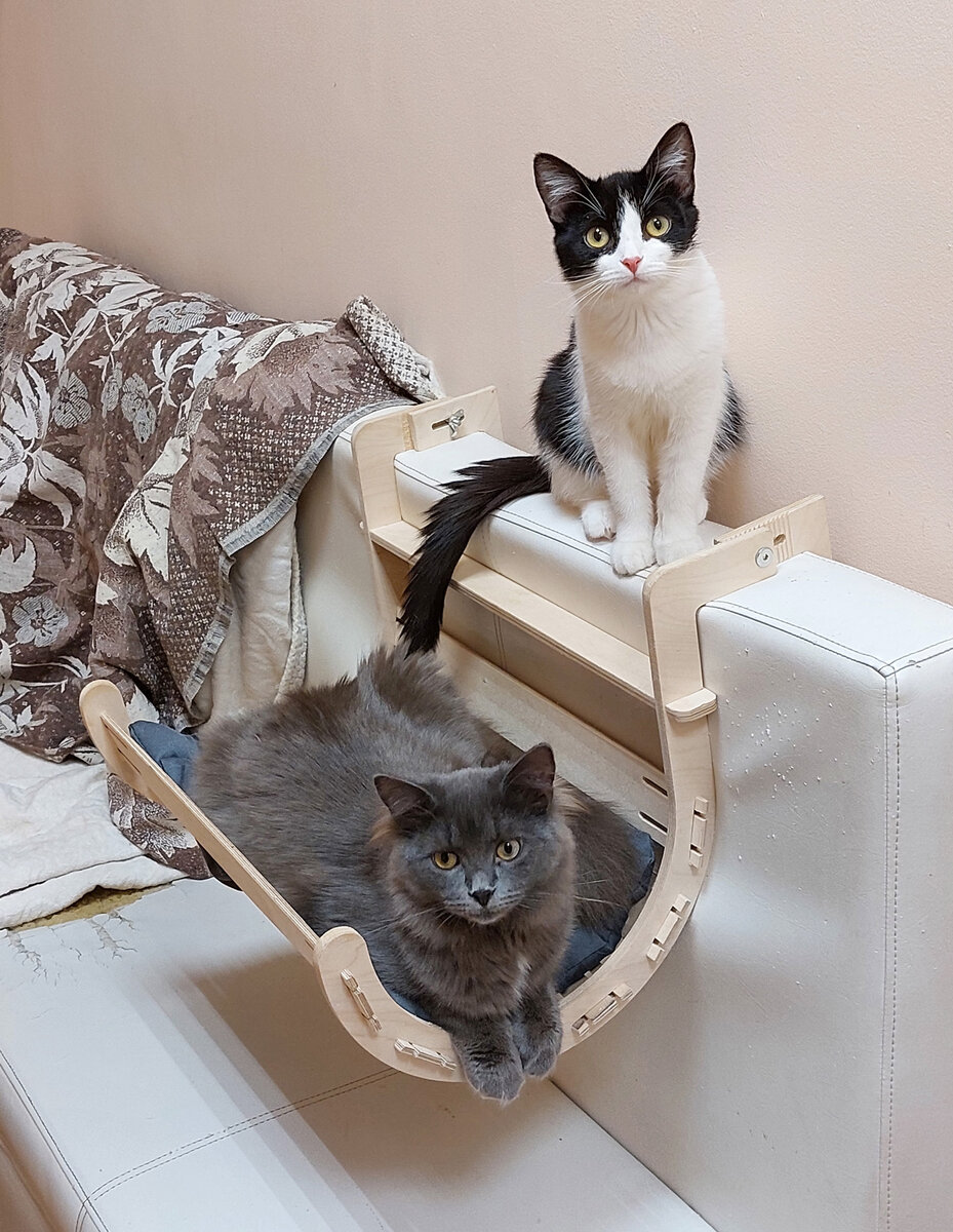 Маска и Дым позируют.