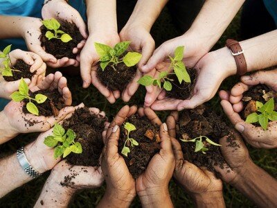    Первый ESG-отчёт Honor: вклад в спасение планеты и прогресс в семи основных направлениях