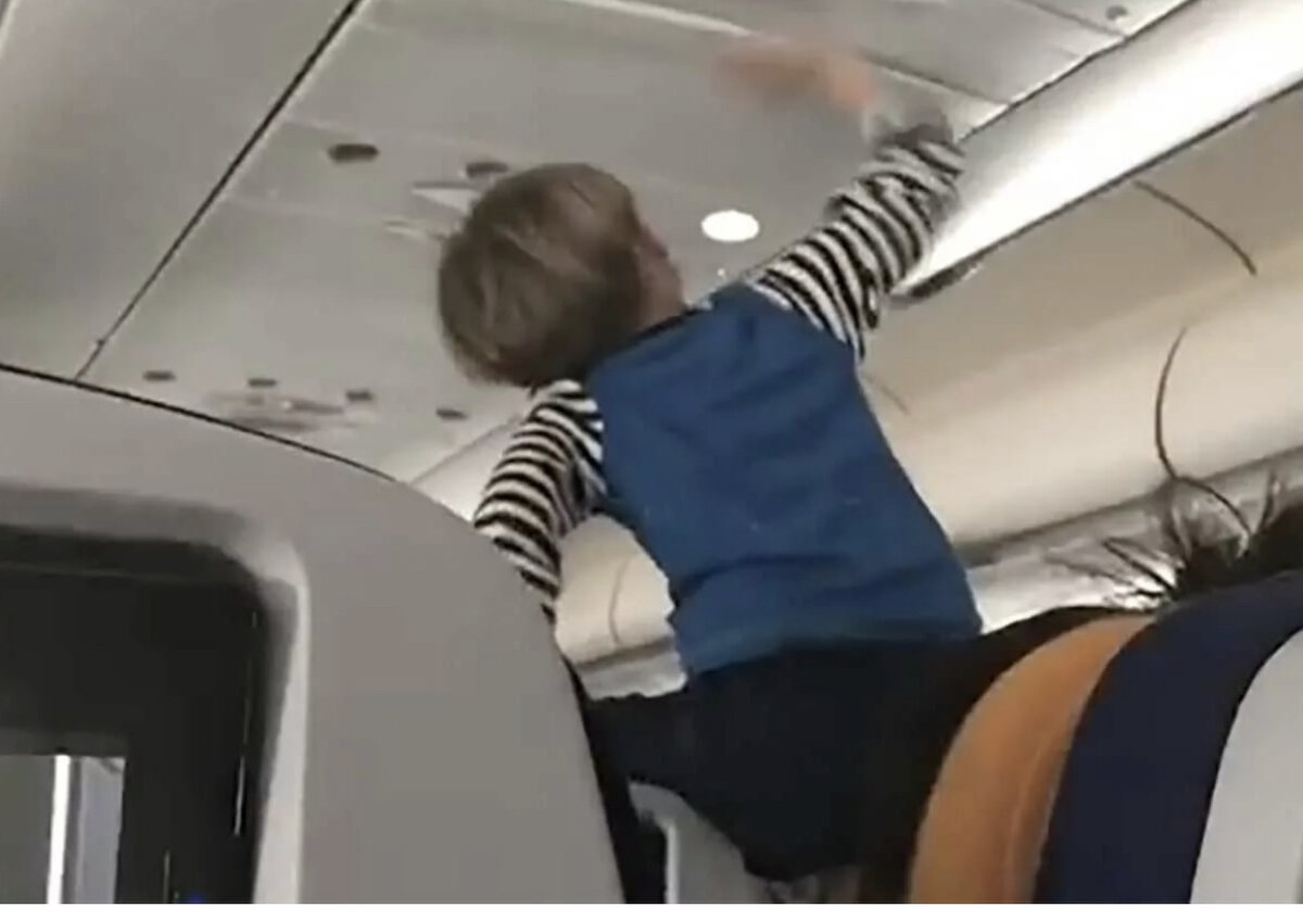 Яндекс картинка