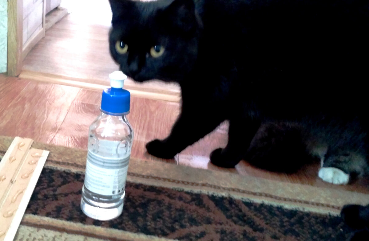 - Мать клея нанюхалась и её так вштырило, что она тут со мной начала диалоги вести))))