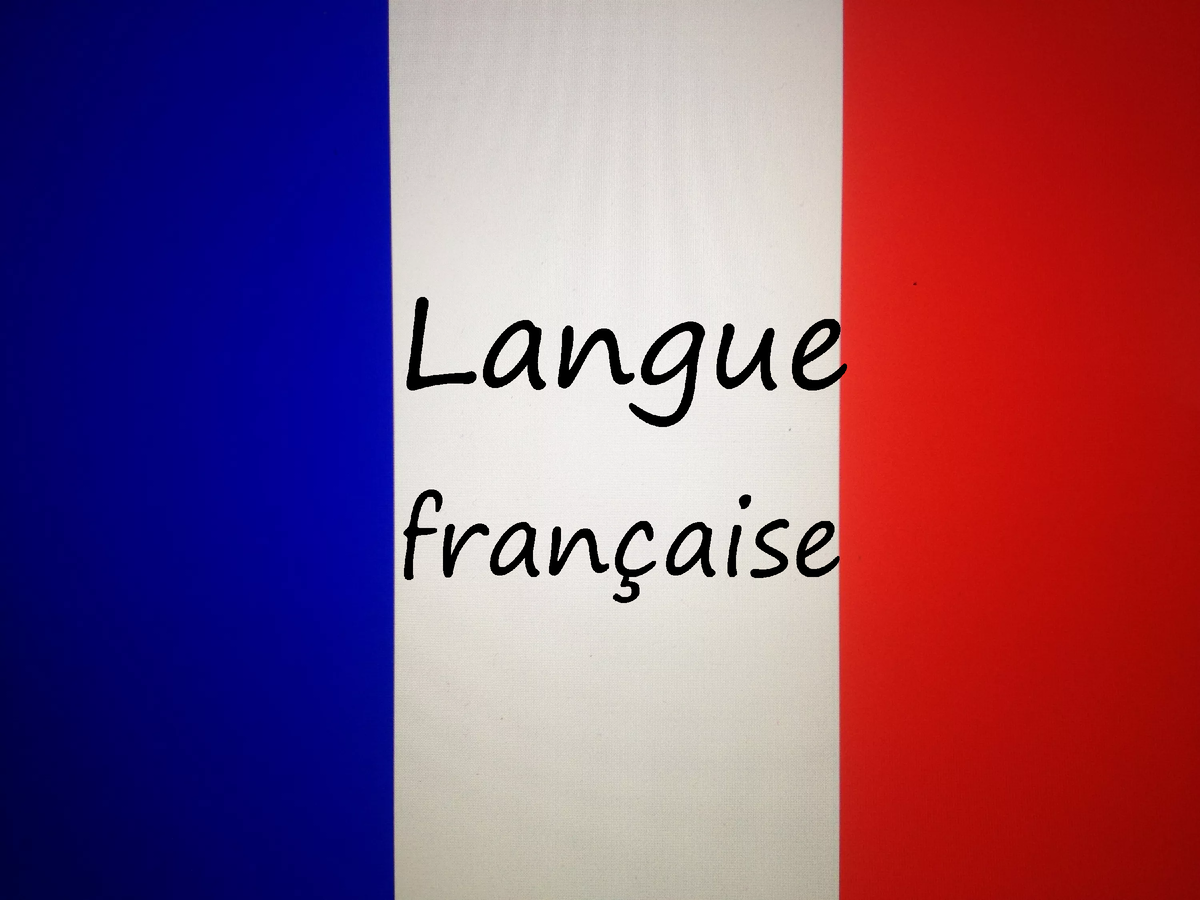 Français. Французский язык в картинках. La langue francaise картинки. Журнал la langue francaise