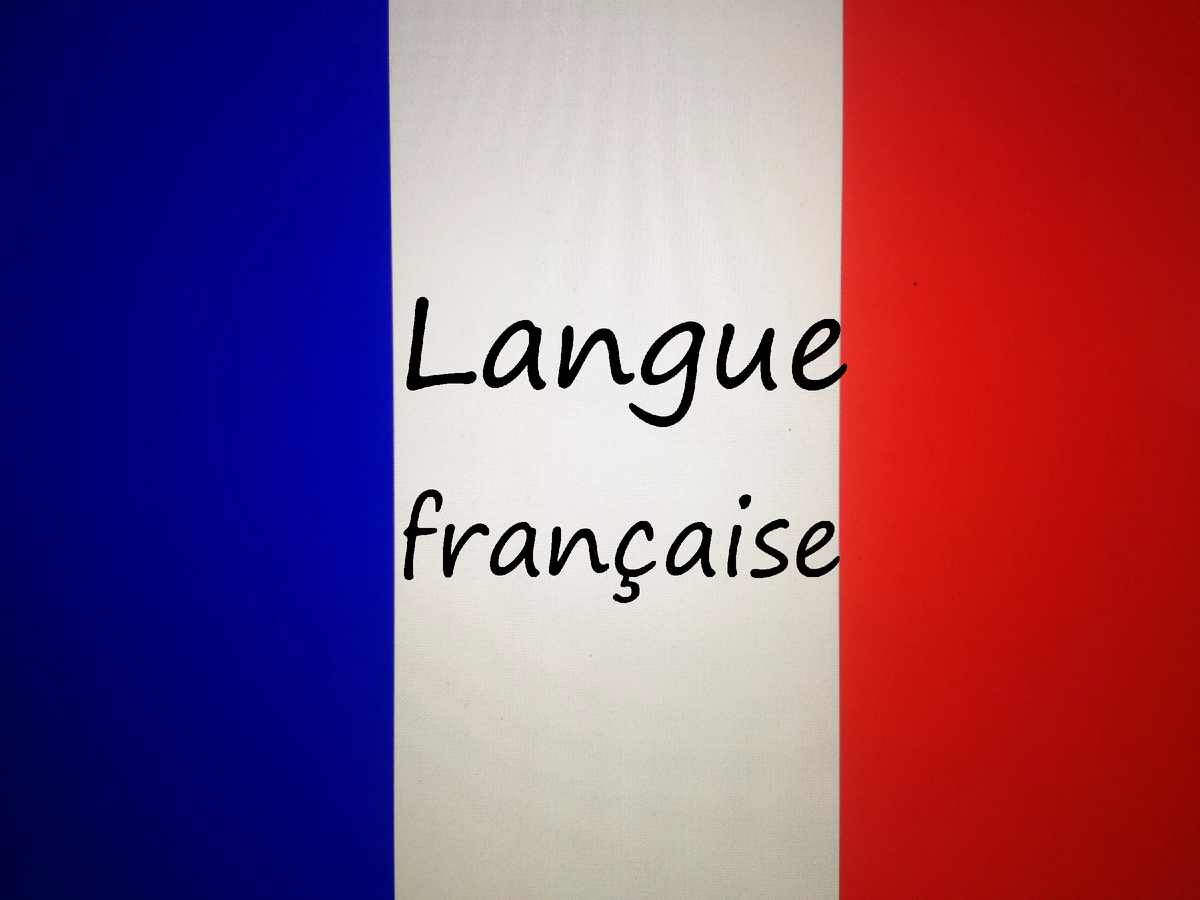 Про французский. Французский язык в картинках. La langue francaise картинки. Журнал la langue francaise.