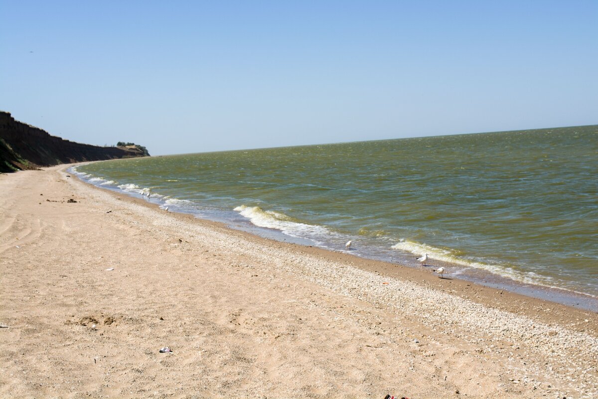 Дикий пляж ейск фото Лучшие пляжи Азовского моря Вокруг мира Дзен