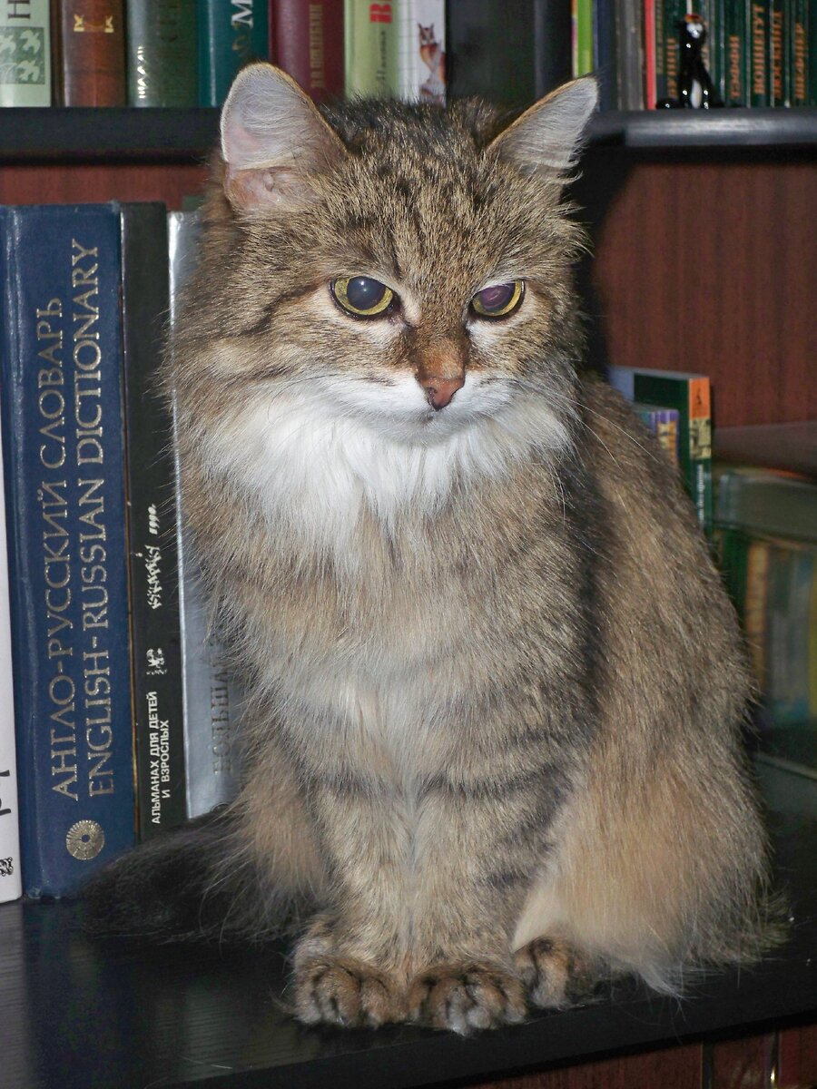 Здесь Марте 18 лет