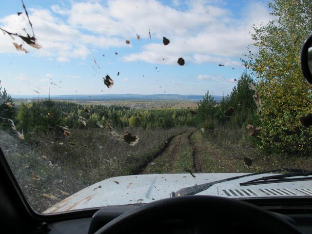 Вот по таким дорогам приходится пробираться за грибными сокровищами