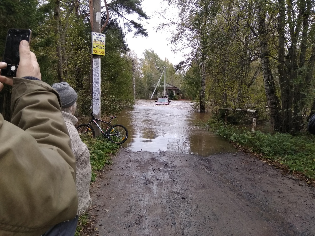                        В ДНТ "Речное" и "Лесное» не проехать из-за разлива реки Сестры 
