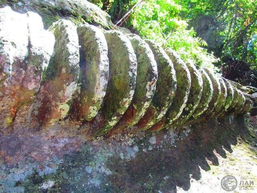 открытый источник [1]