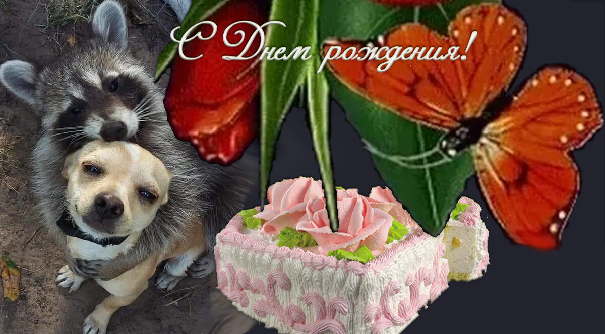 birthday to, birthday to you, birthday you, happy birthday to, happy birthday you, бездей песня, песня хэппи