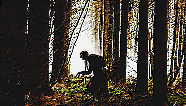 Изображение создано в фоторедакторе Polish