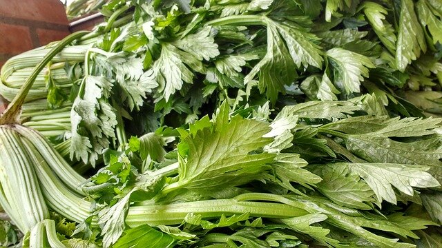 Яркий насыщенный вкус и цвет!