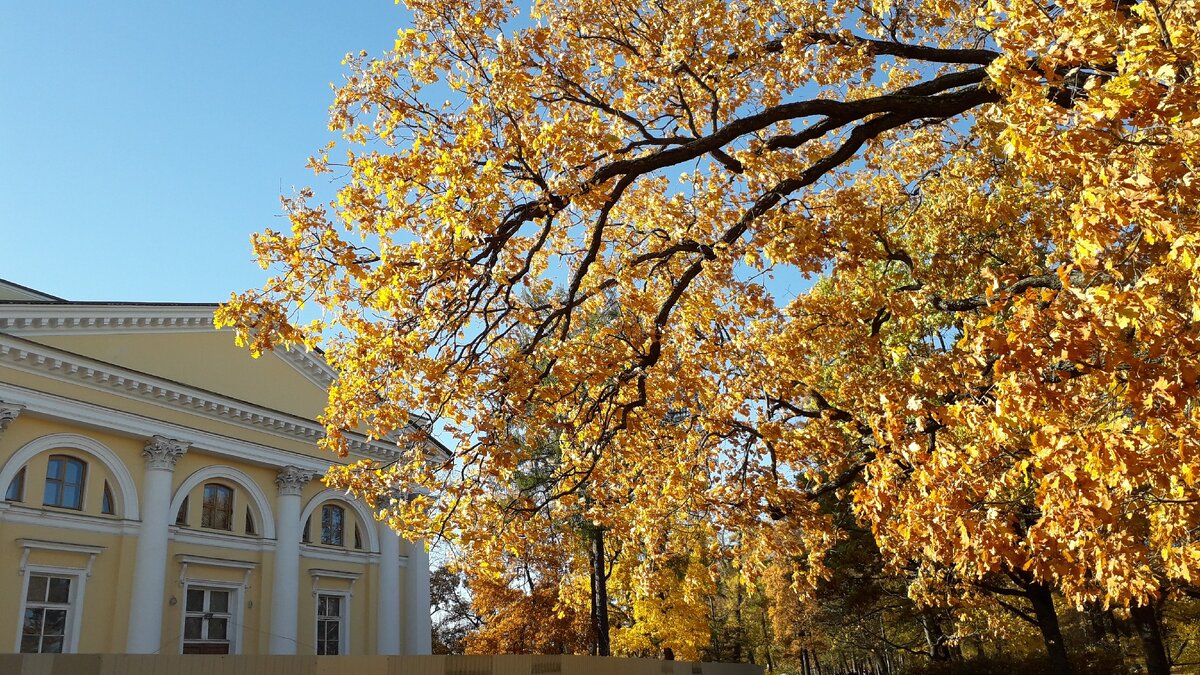 Флигель Александровского дворца 