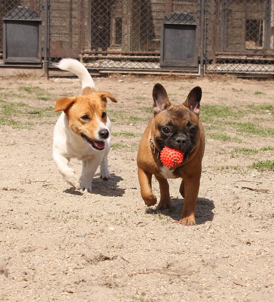 Постояльцы гостиницы